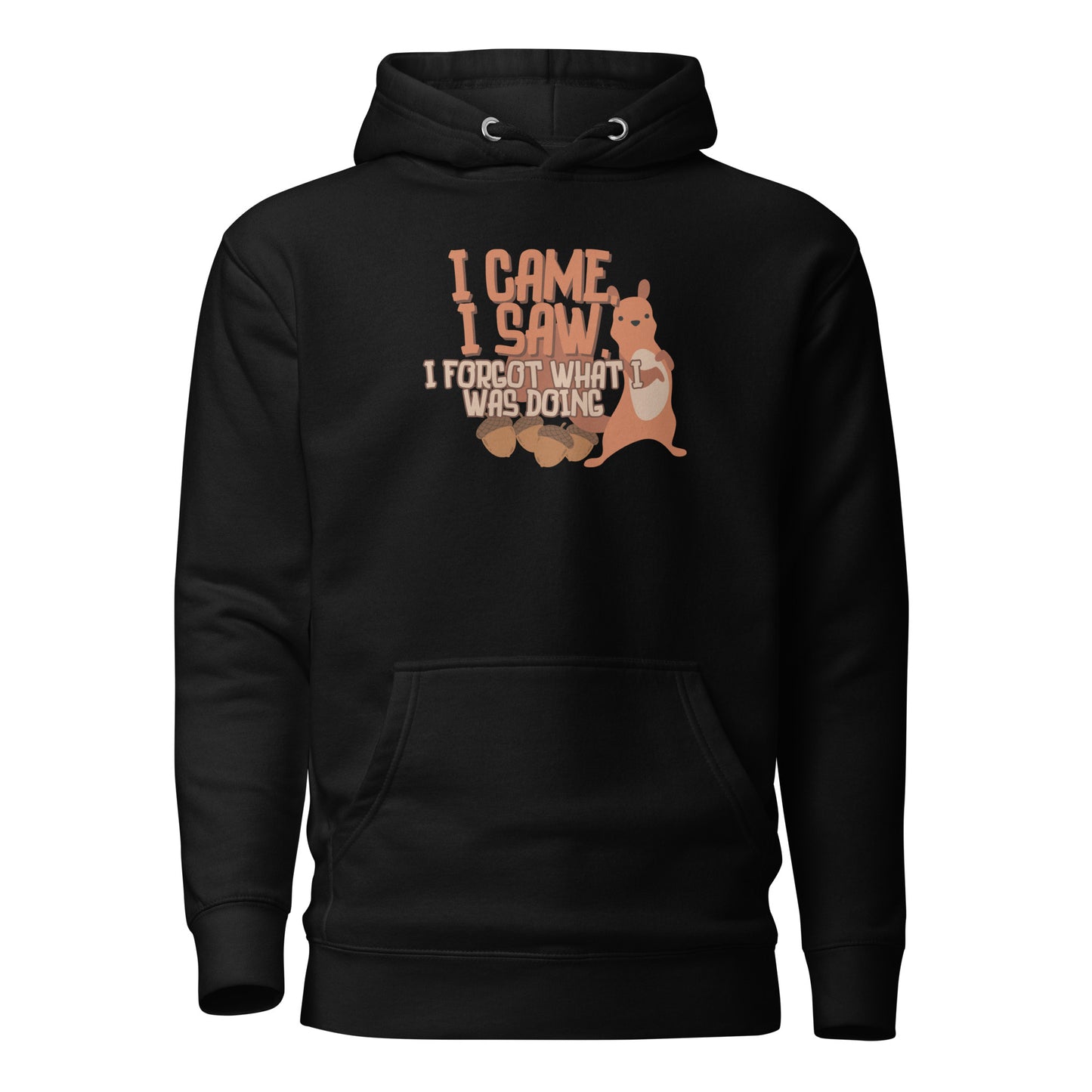 I Came I Saw I Forgot What I Was Doing Unisex Hoodie