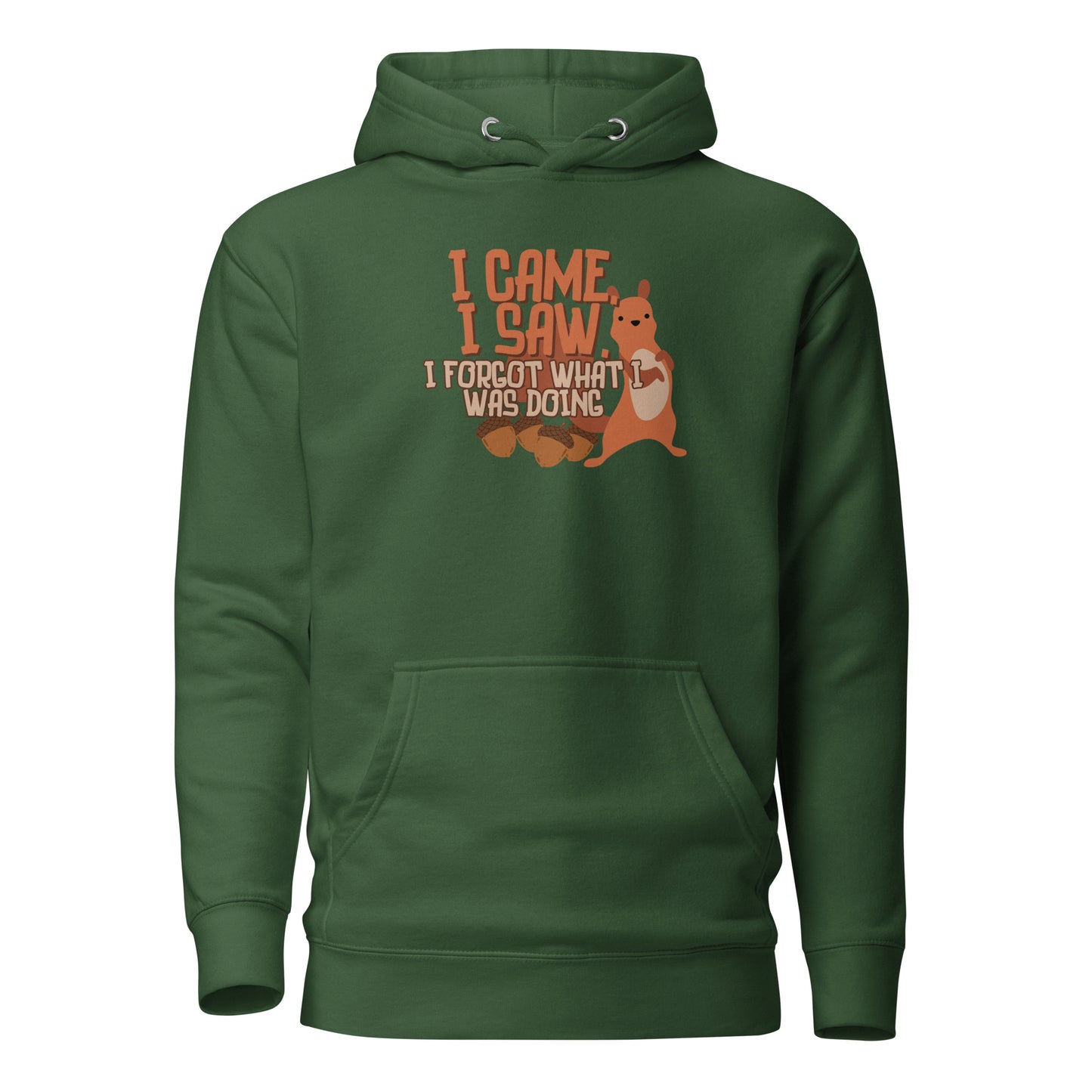 I Came I Saw I Forgot What I Was Doing Unisex Hoodie