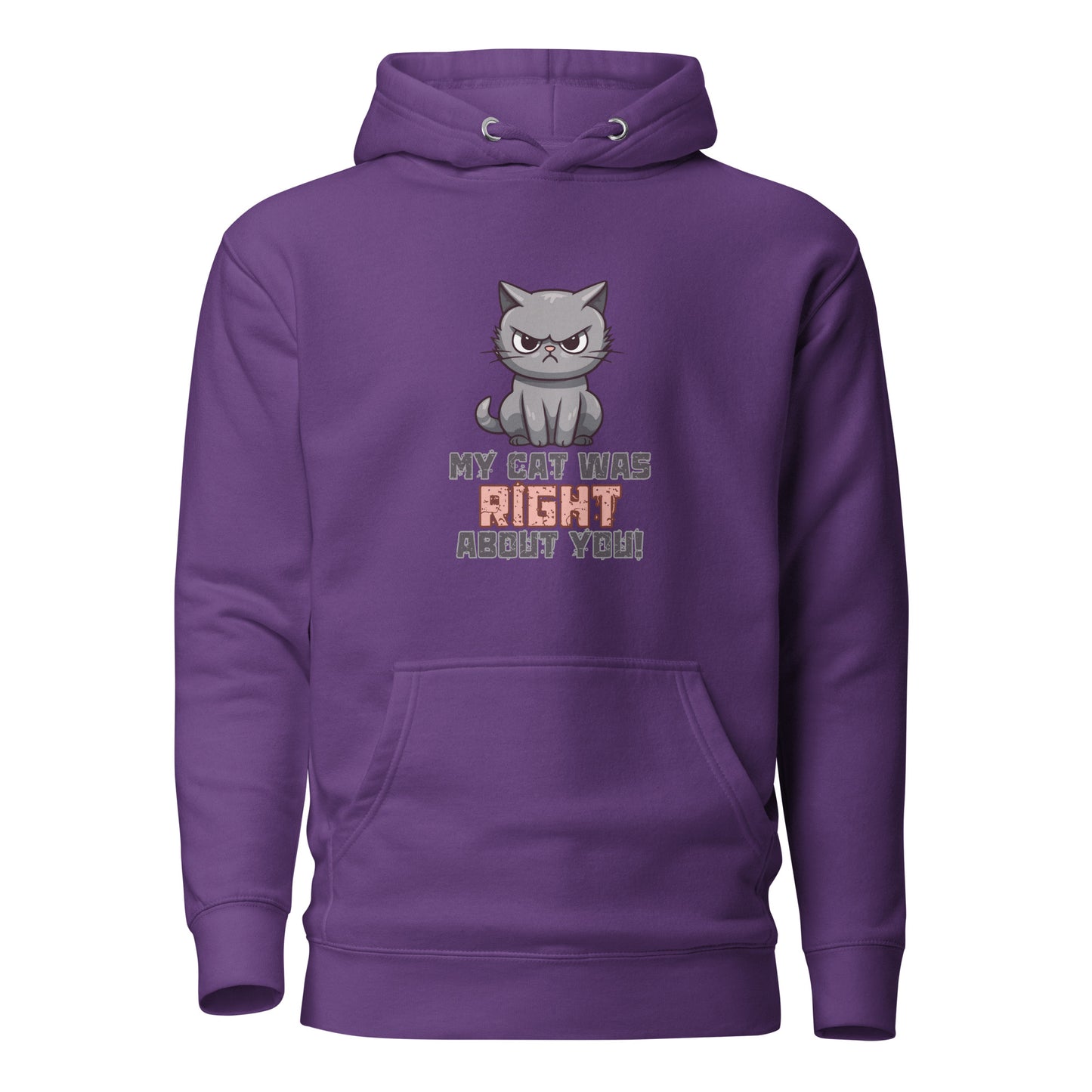 My Cat Was Right About You Unisex Hoodie