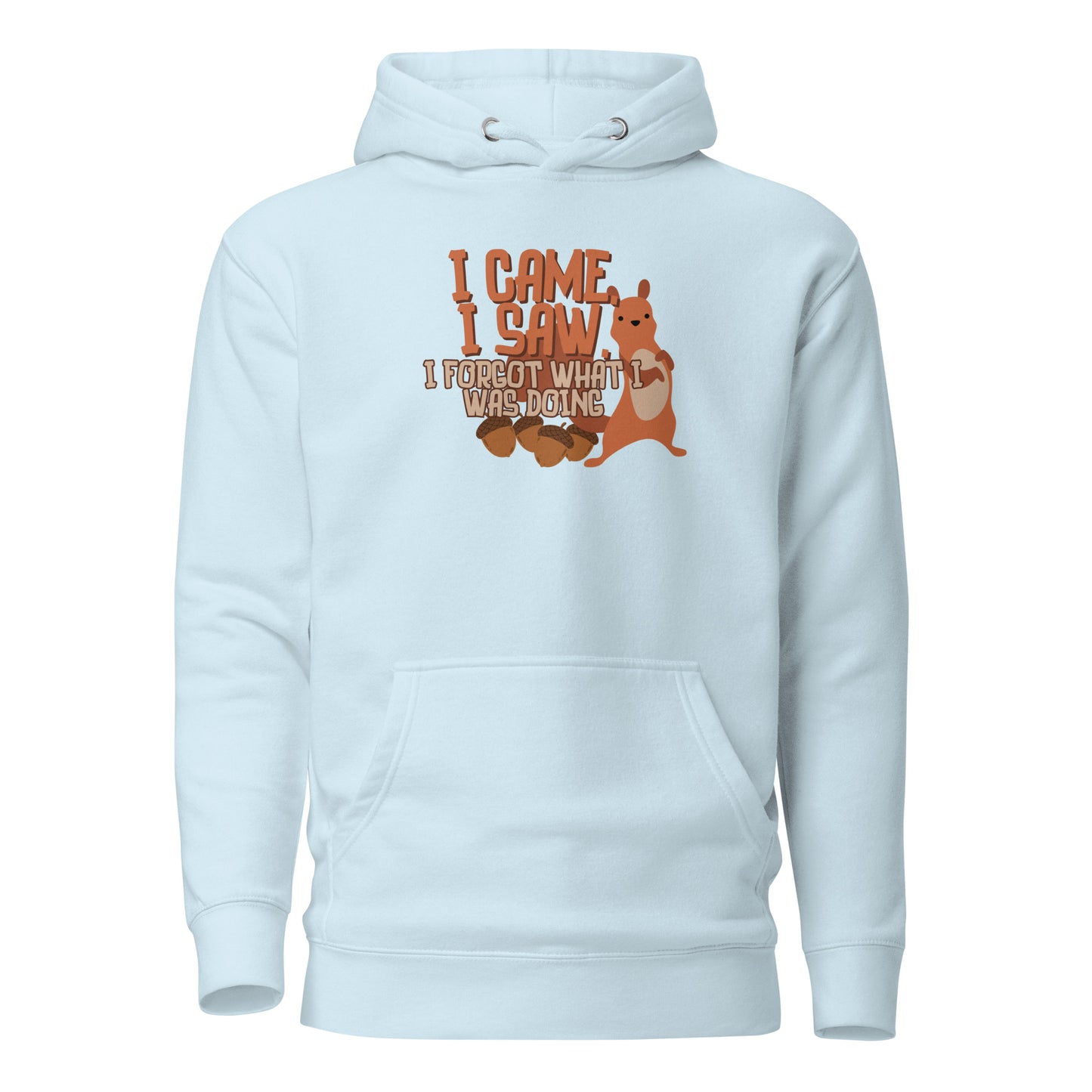 I Came I Saw I Forgot What I Was Doing Unisex Hoodie