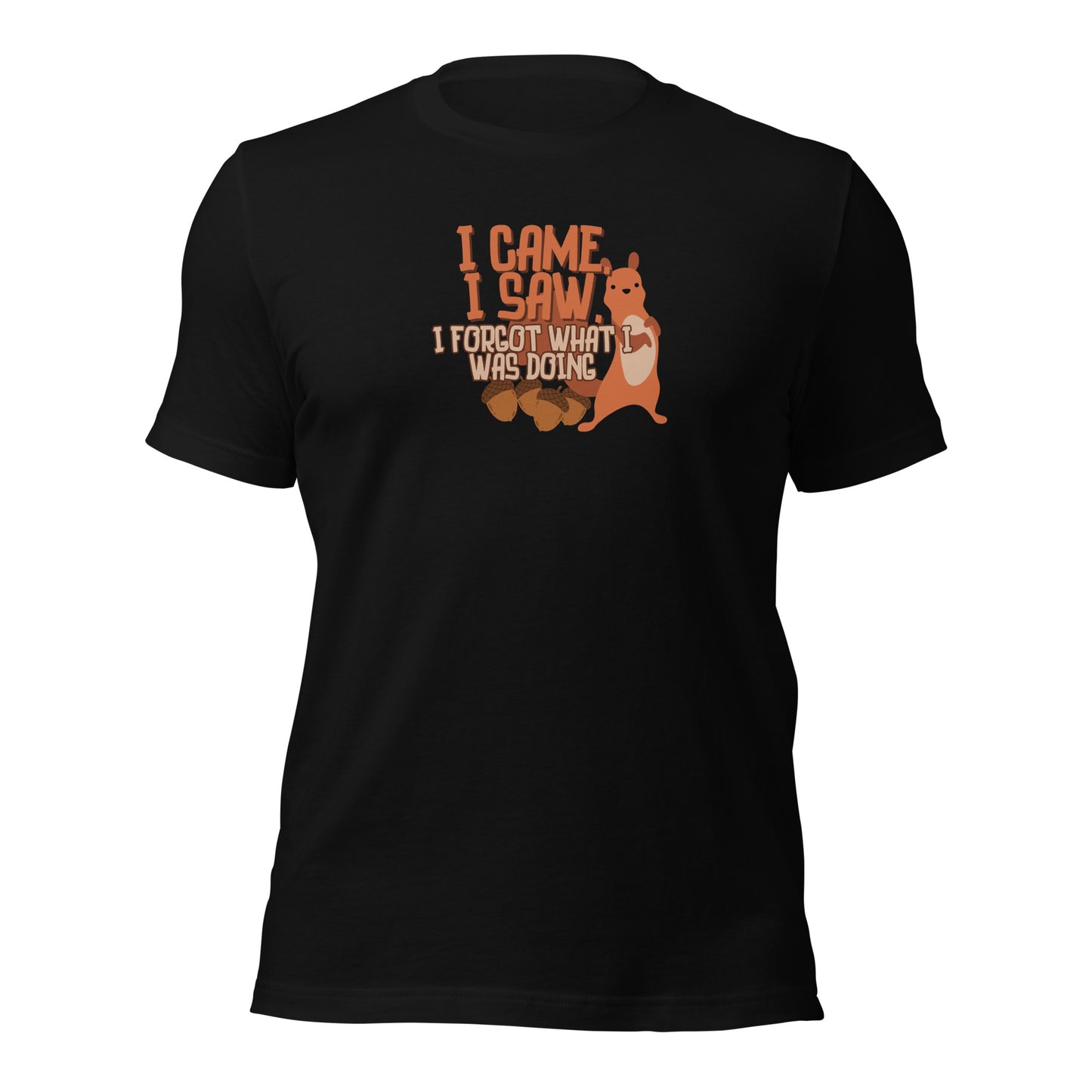 I Came, I Saw, I Forgot What I Was Doing t-shirt