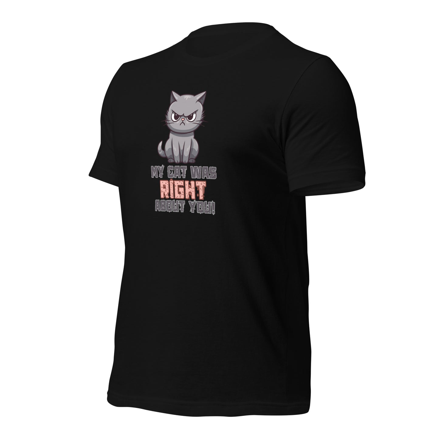 My Cat Was Right About You t-shirt