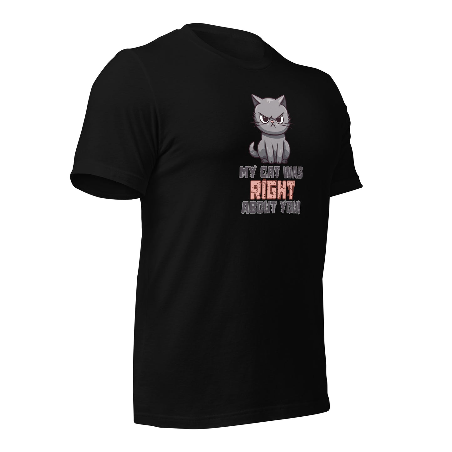 My Cat Was Right About You t-shirt