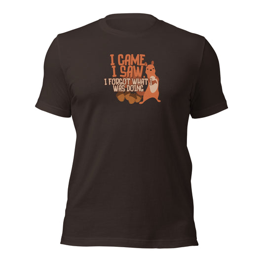 I Came, I Saw, I Forgot What I Was Doing t-shirt