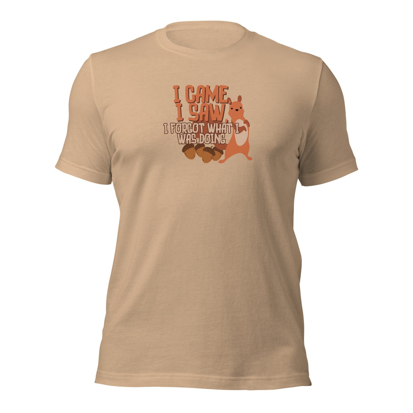 I Came, I Saw, I Forgot What I Was Doing t-shirt